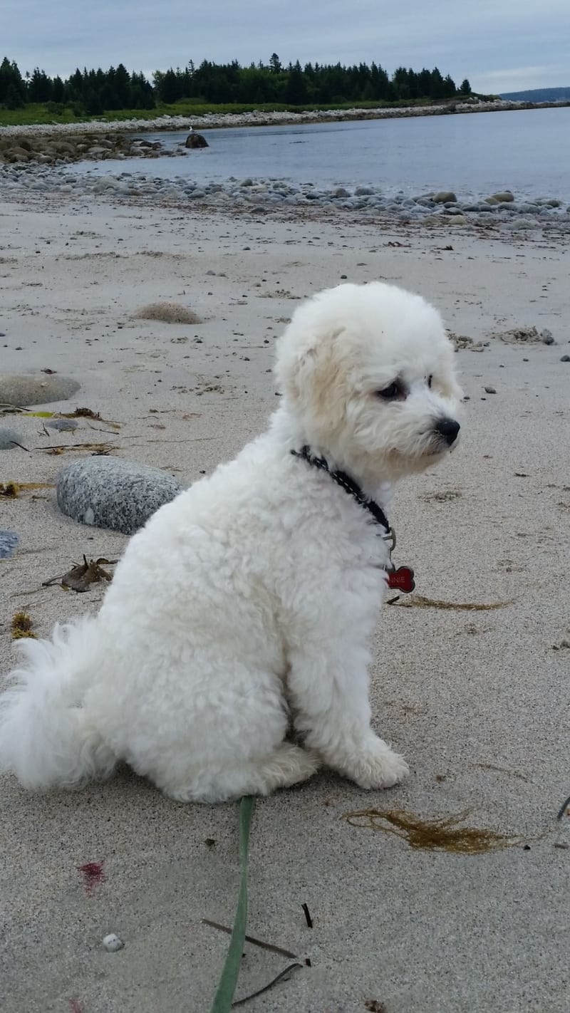 A DAY AT THE BEACH FOR WINNIE
