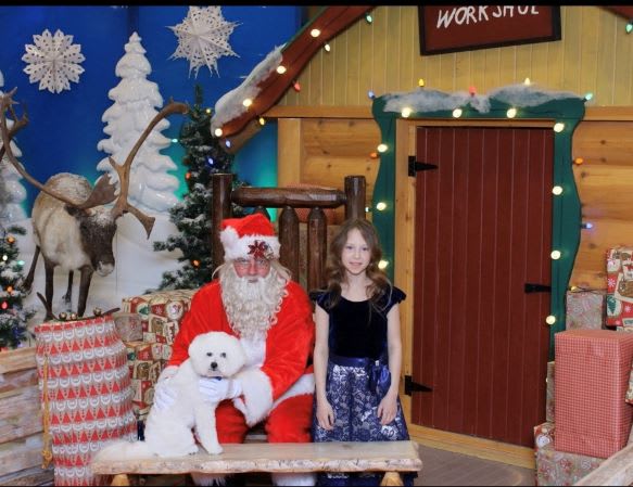 MERRY CHRISTMAS TO ALL !