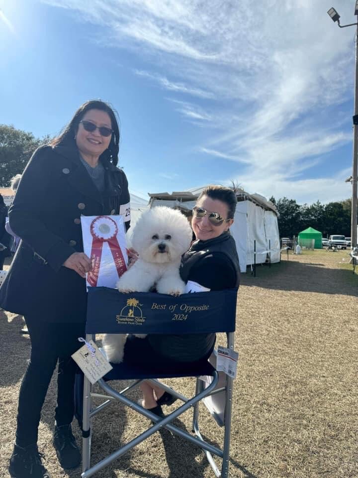 SUNSHINE STATE BICHON FRISE SPECIALTY JANUARY 21, 2024