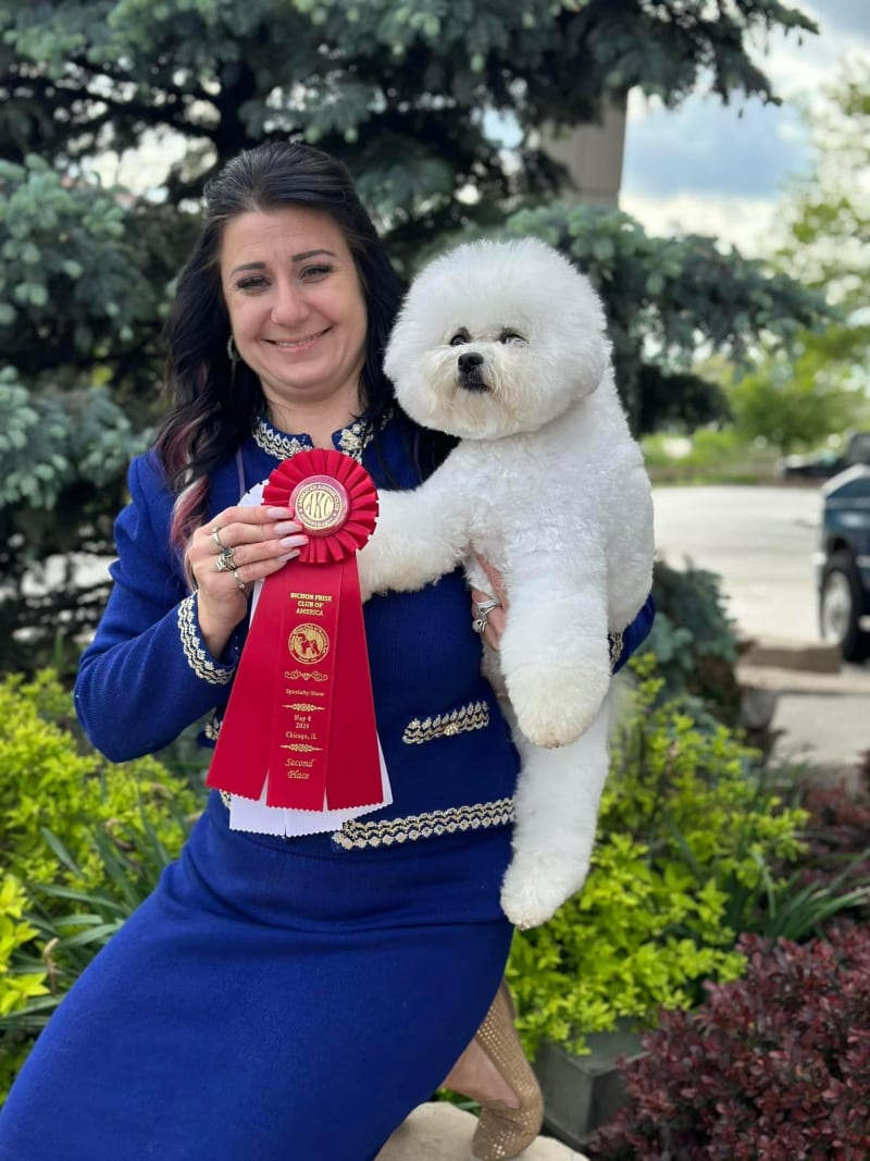 BFCA NATIONAL IN CHICAGO A SUCCESS FOR DALNAVERT KENNELS !