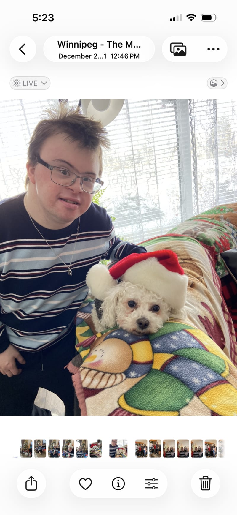 Dogs Leave Their Paw Prints on Our Hearts as We Say Goodbye to Dalnavert's Tic Tac Cognac