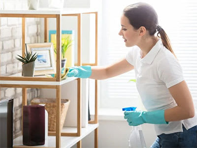 Furniture Cleaning