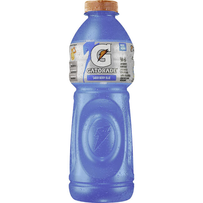 Isotônico Gatorade Blueberry Pet com 500ml
