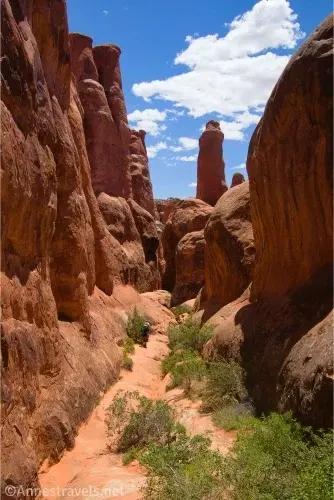 Clouds sail in a blue sky over a spire in a slickrock canyon with greenery