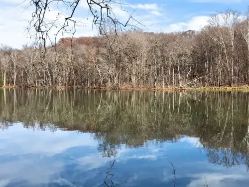 Reflections of a leafless forest and a sky with clouds 