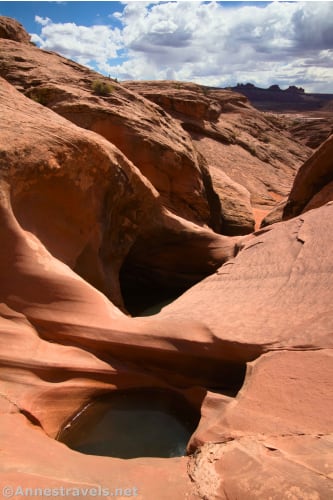 Potholes full of water in Willow Springs Canyon, Arches National Park, Utah