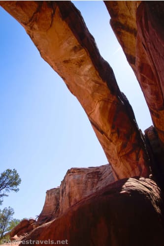 Looking up at Magic Mystery Bridge.  It was very difficult to photograph the arch, so this is my best shot. Arches National Park, Utah