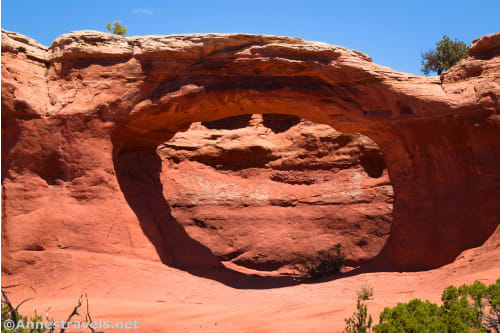 Tapestry Arch in Arches National Park, Utah