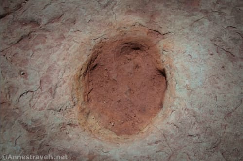 One of the dinosaur tracks... can you see three toes?  Willow Springs Dinosaur Tracksite, Arches National Park, Utah