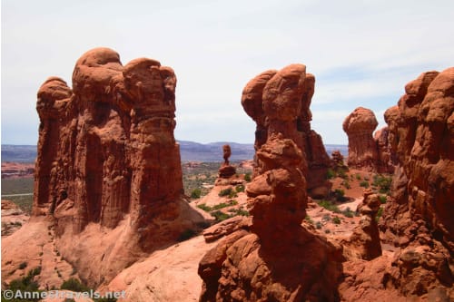 Rocky spires in the Garden of Eden. Arches National Park, Utah