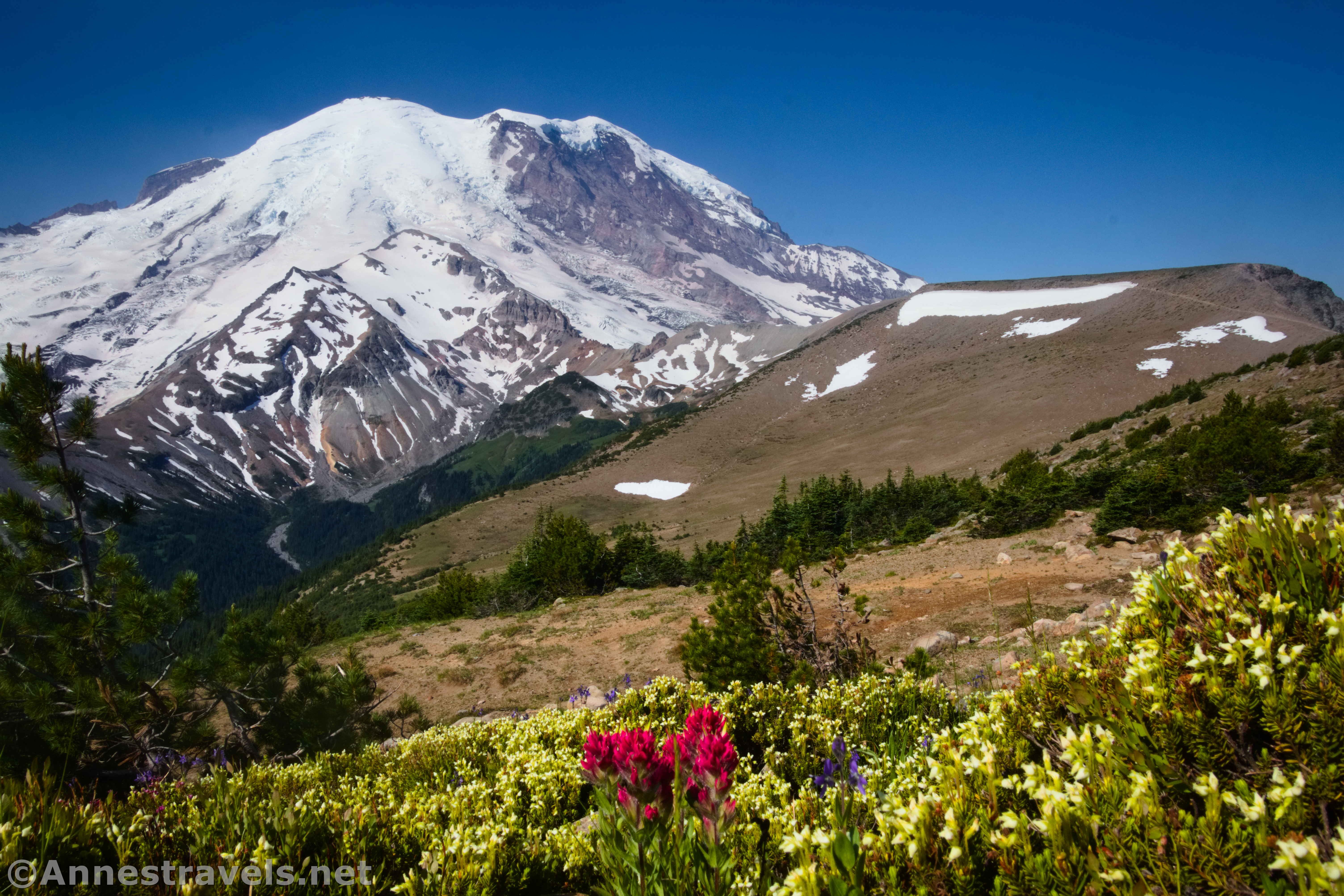 Mt. Rainier from First Burroughs Mountain, Mount Rainier National Park, Washington