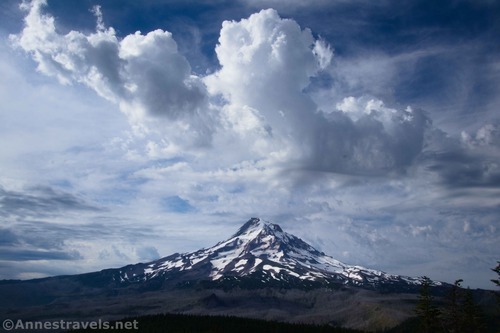 Morning clouds over Mt. Hood from Owl Point, Mount Hood National Forest, Oregon