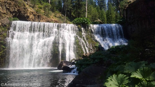 Middle McCloud Falls, Shasta-Trinity National Forest, California