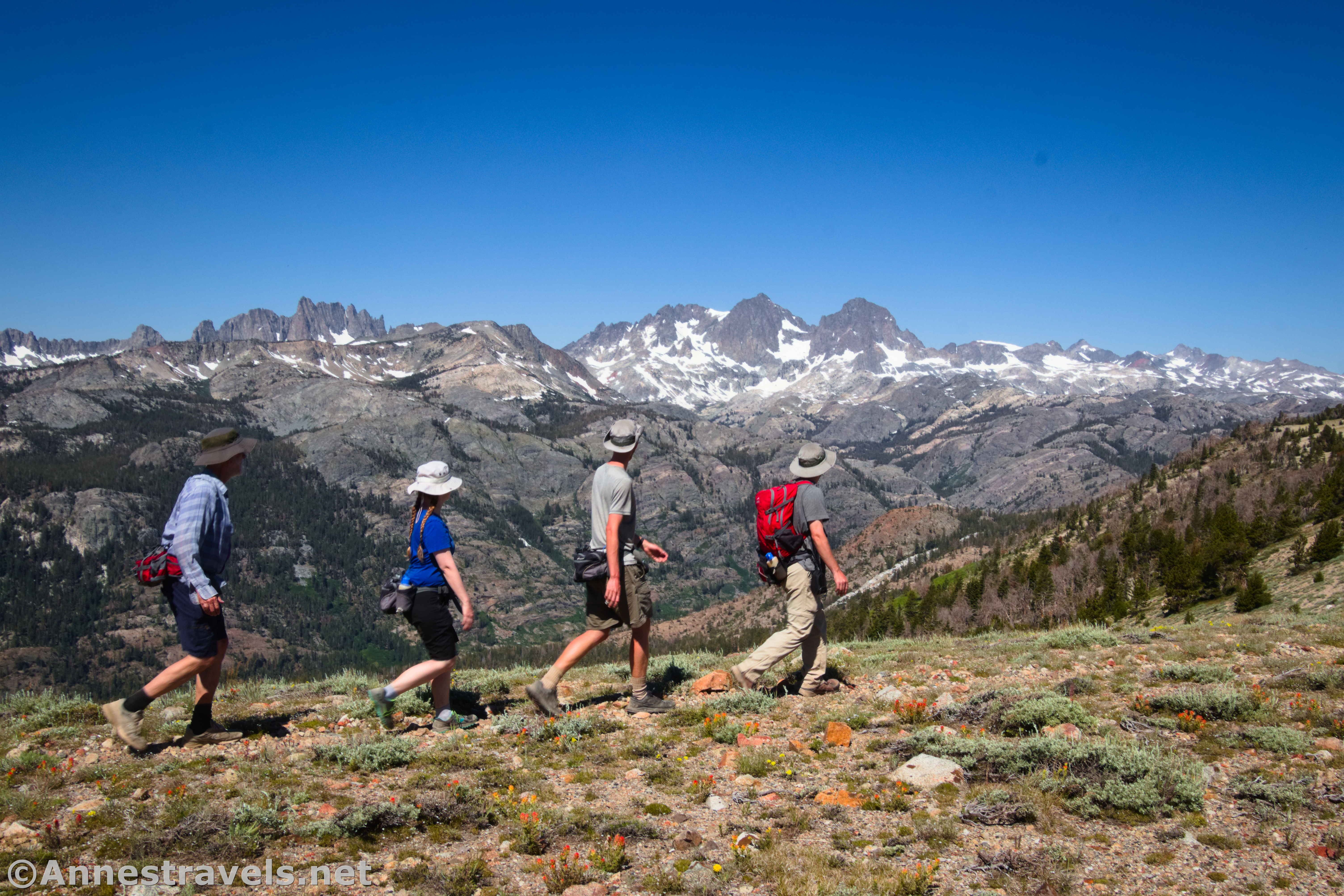 Hiking on one of the many ridges of San Joaquin Mountain, Inyo National Forest, California