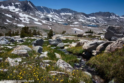 A mountain stream in Piute Pass, Inyo National Forest, California