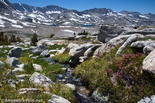 Hiking back down the north side of Piute Pass, Inyo National Forest, California