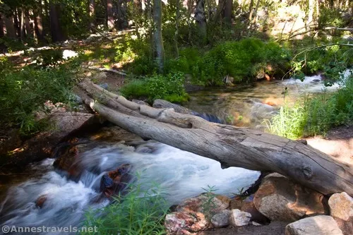 The log across the first stream crossing on the Piute Pass Trail, Inyo National Forest, California