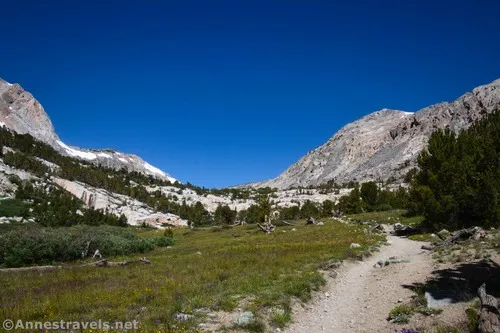 Meadows between Loch Leven and Piute Lake, Inyo National Forest, California