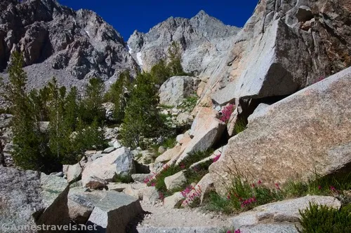 The trail while ascending to Loch Leven, Inyo National Forest, California