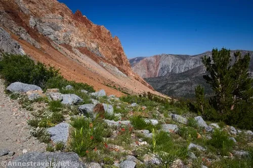 Red cliffs while hiking back to the Piute Pass Trailhead, Inyo National Forest, California