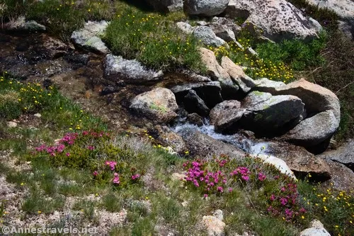 A stream on the north side of Piute Pass, Inyo National Forest, California