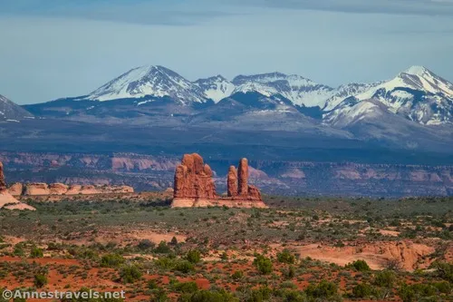 Spires and the La Sal Mountains from the Balanced Rock Overlook, Arches National Park, Utah