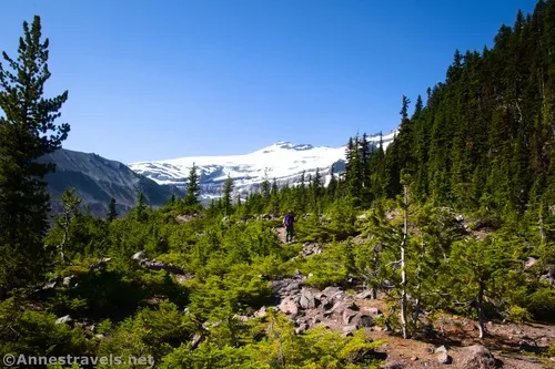 The upper part of the Emmons Moraine Trail, Mount Rainier National Park, Washington