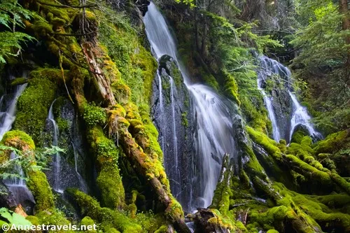 The cascade just off the Glacier Basin Trail, Mount Rainier National Park, Washington