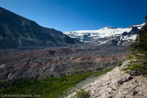 Looking across the gravel-covered part of the Emmons Glacier from the Emmons Moraine Trail, Mount Rainier National Park, Washington