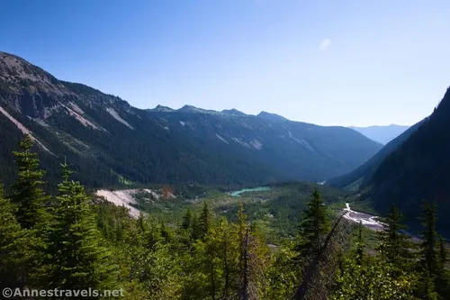 Looking downcanyon from the Emmons Moraine Trail, Mount Rainier National Park, Washington