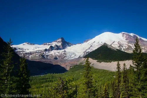 Views to Mt. Rainier from the Emmons Moraine Trail, Mount Rainier National Park, Washington