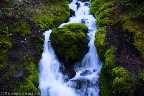 One of the streams along the Glacier Basin Trail, Mount Rainier National Park, Washington