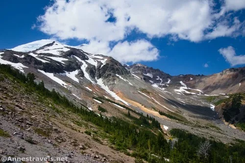 Views toward the upper end of Glacier Basin from the Climber's Trail, Mount Rainier National Park, Washington