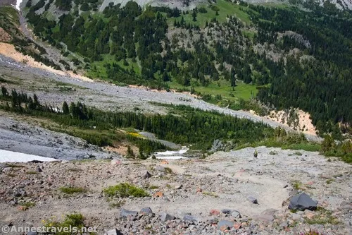 The Climber's Trail with Glacier Basin below, Mount Rainier National Park, Washington