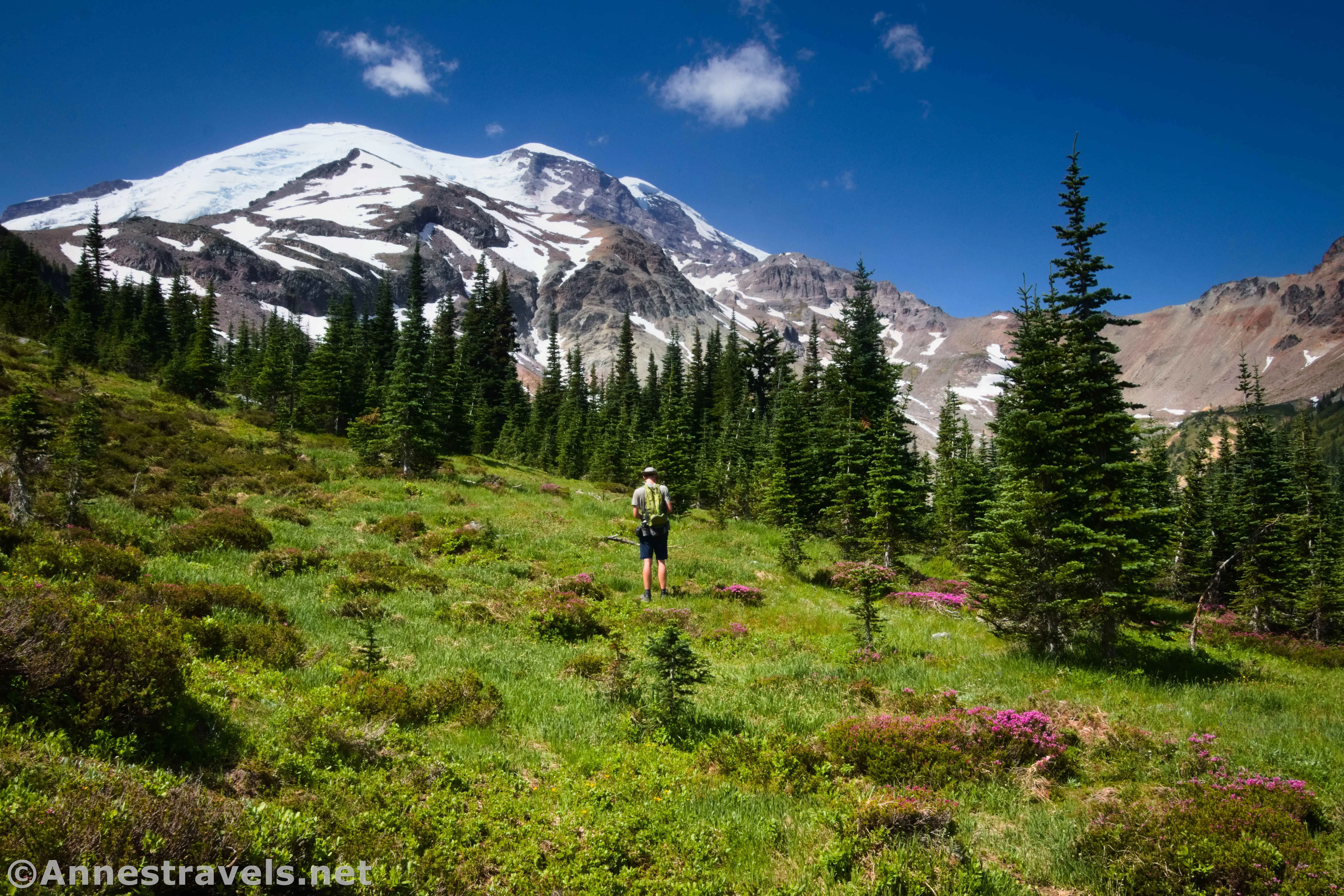 Hiking in a meadow above the old road and below the Climber's Trail ridgeline above Glacier Basin, Mount Rainier National Park, Washington