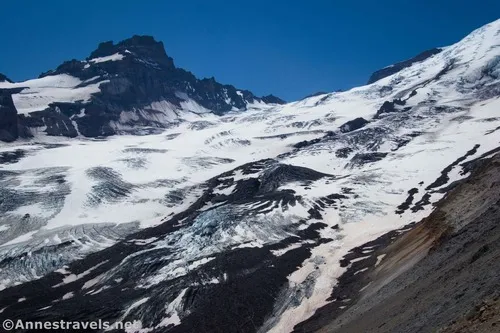 Little Tahoma and the Emmons Glacier from the Climber's Trail, Mount Rainier National Park, Washington