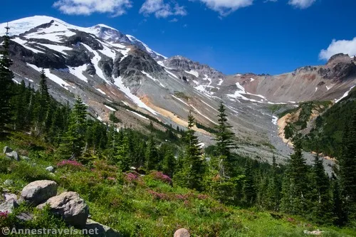 Views from the meadows toward Glacier Basin and Mt. Rainier, Mount Rainier National Park, Washington