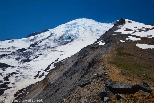 Mt. Rainier from the ridgeline atop the Climber's Trail, Mount Rainier National Park, Washington