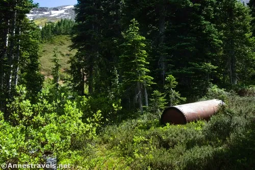 A tank along the stream above the Inter Fork on the Climber's Trail, Mount Rainier National Park, Washington