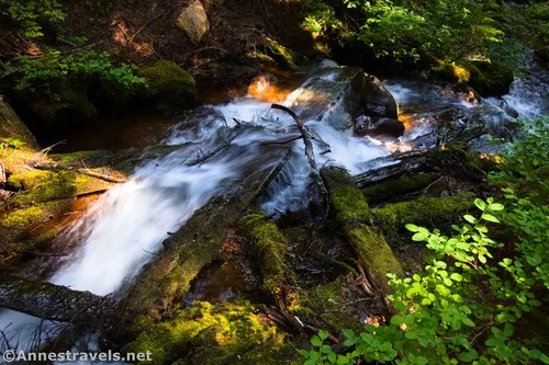 The ruins of a bridge in a small stream along the old road up toward the Climbers Trail, Mount Rainier National Park, Washington