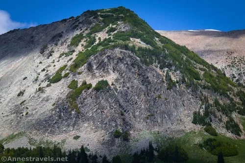 Basalt columns across Glacier Basin from the Climber's Trail, Mount Rainier National Park, Washington