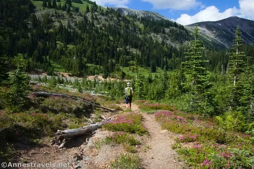 Hiking down toward the Inter Fork on the Climber's Trail, Mount Rainier National Park, Washington