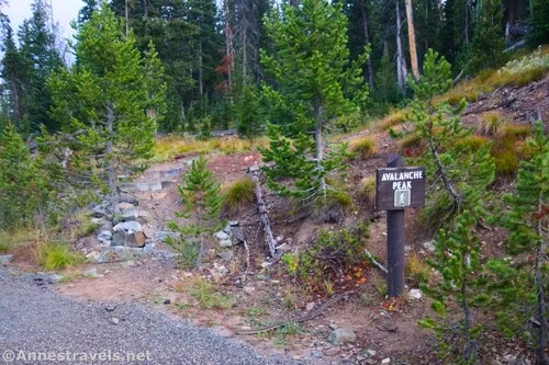 The Avalanche Peak Trailhead, Yellowstone National Park, Wyoming