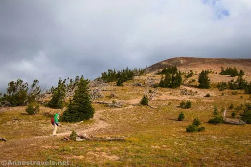 Hiking above treeline on the Avalanche Peak Trail, Yellowstone National Park, Wyoming