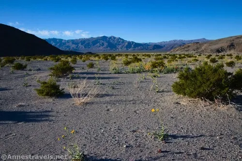 Views while hiking toward Lake Hill, Death Valley National Park, California