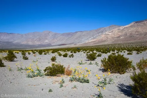 If you look really carefully in the center of the photo, you can see my van waiting for me to return from Lake Hill, Death Valley National Park, California