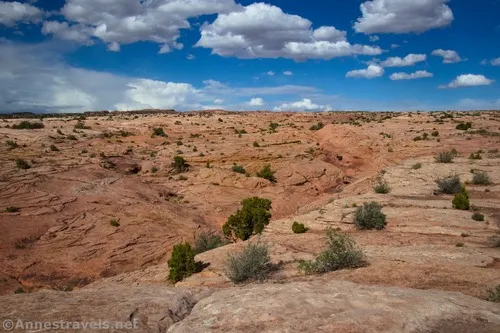 Views northwest back across Willow Springs Canyon, Arches National Park, Utah