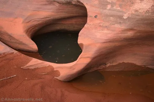 Water and an arch in a pothole in Willow Springs Canyon, Arches National Park, Utah