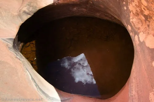 Reflections in one of the potholes in Willow Springs Canyon, Arches National Park, Utah