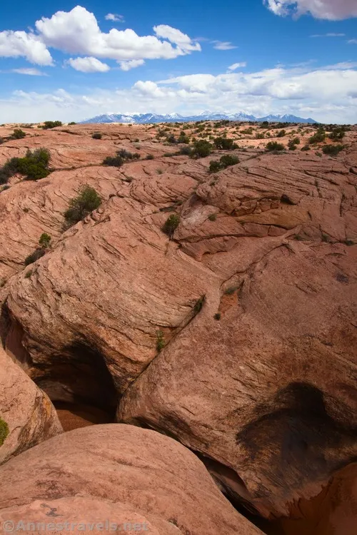 On one of the bypass sections, looking over Willow Springs Canyon to the La Sal Mountains, Arches National Park, Utah